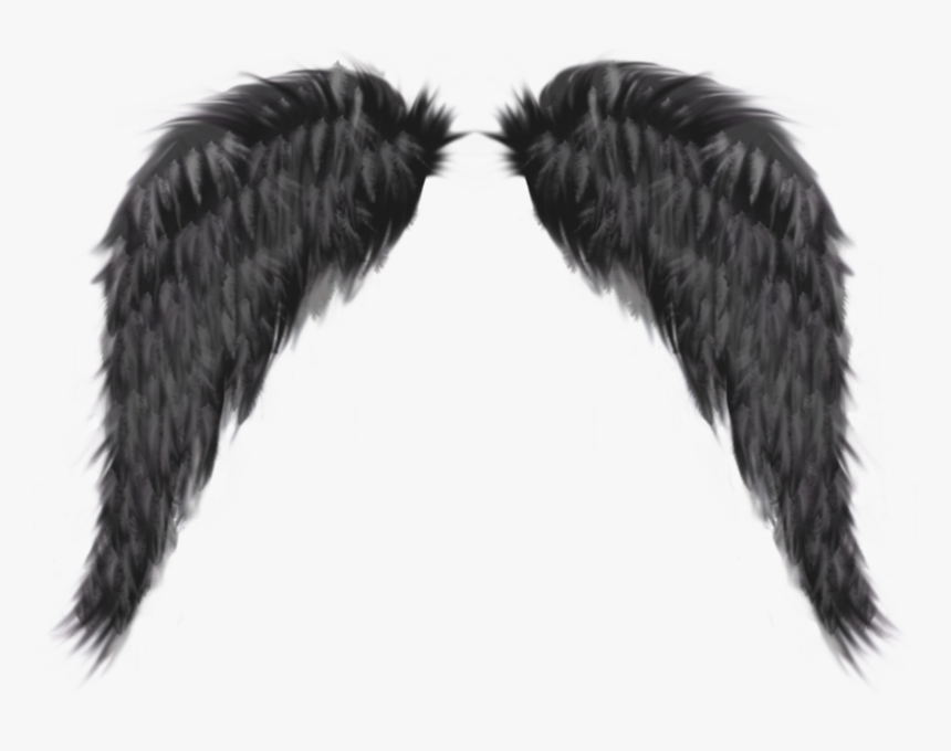 Dark Angel Wings Psd, HD Png Download