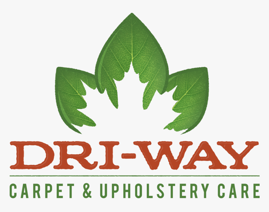 Plane, HD Png Download