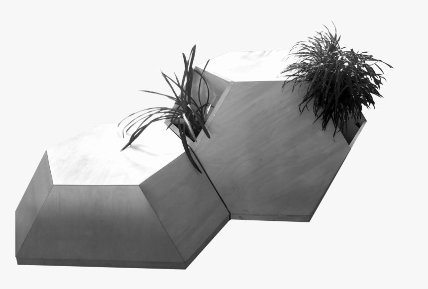 Architecture Tree Png, Transparent Png