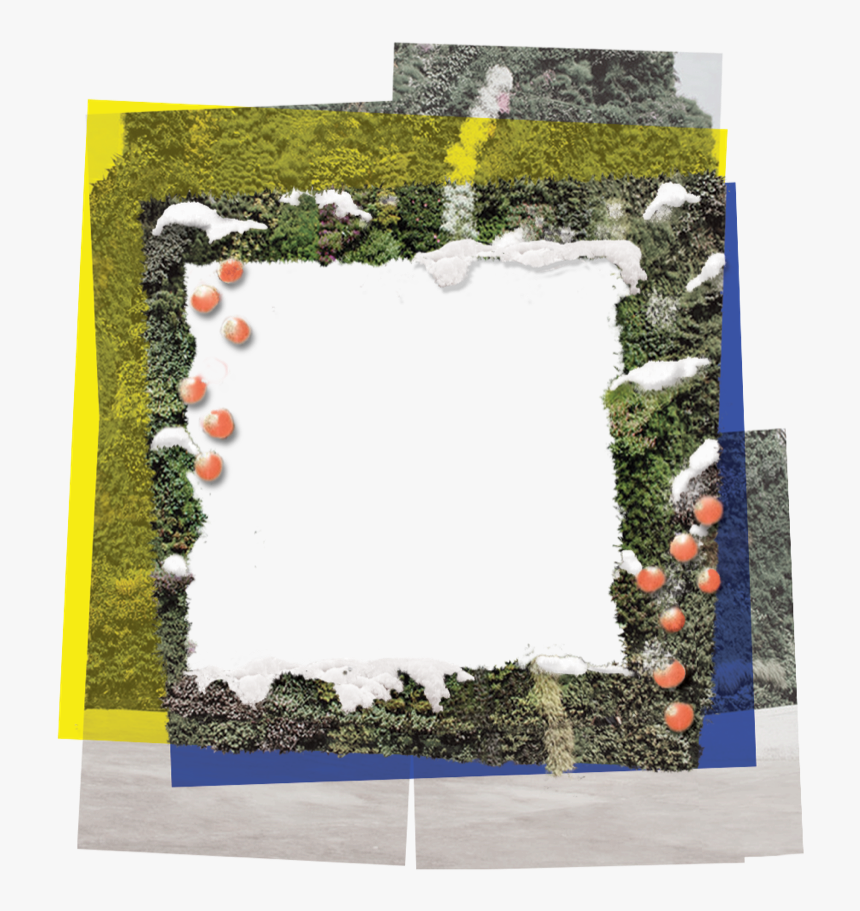 Biowreathilia By Daniel Aronberg, HD Png Download