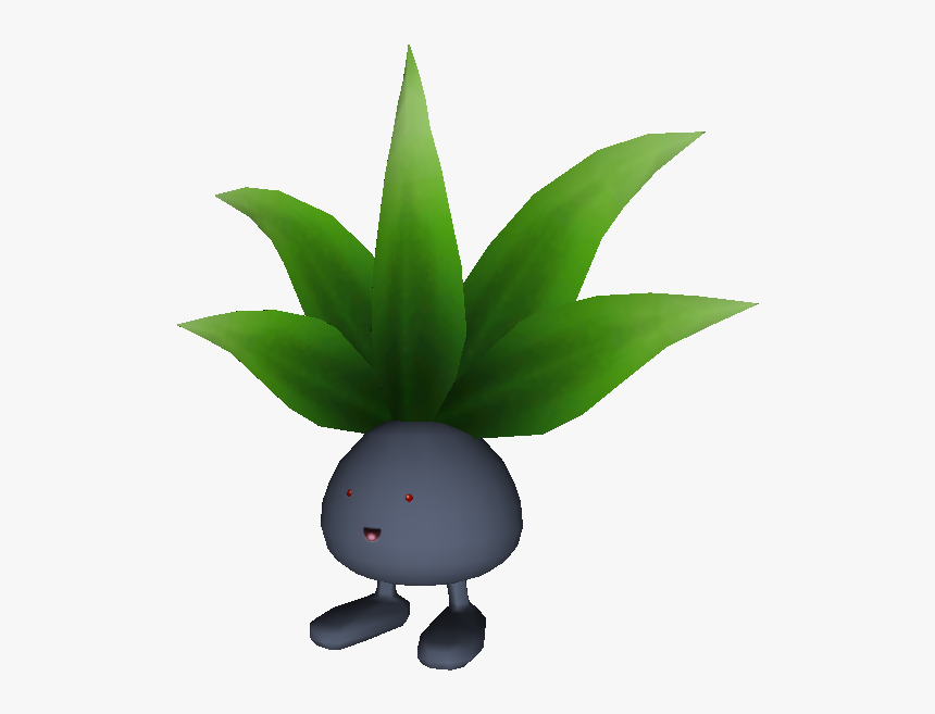 Download Zip Archive - Agave Azul, HD Png Download