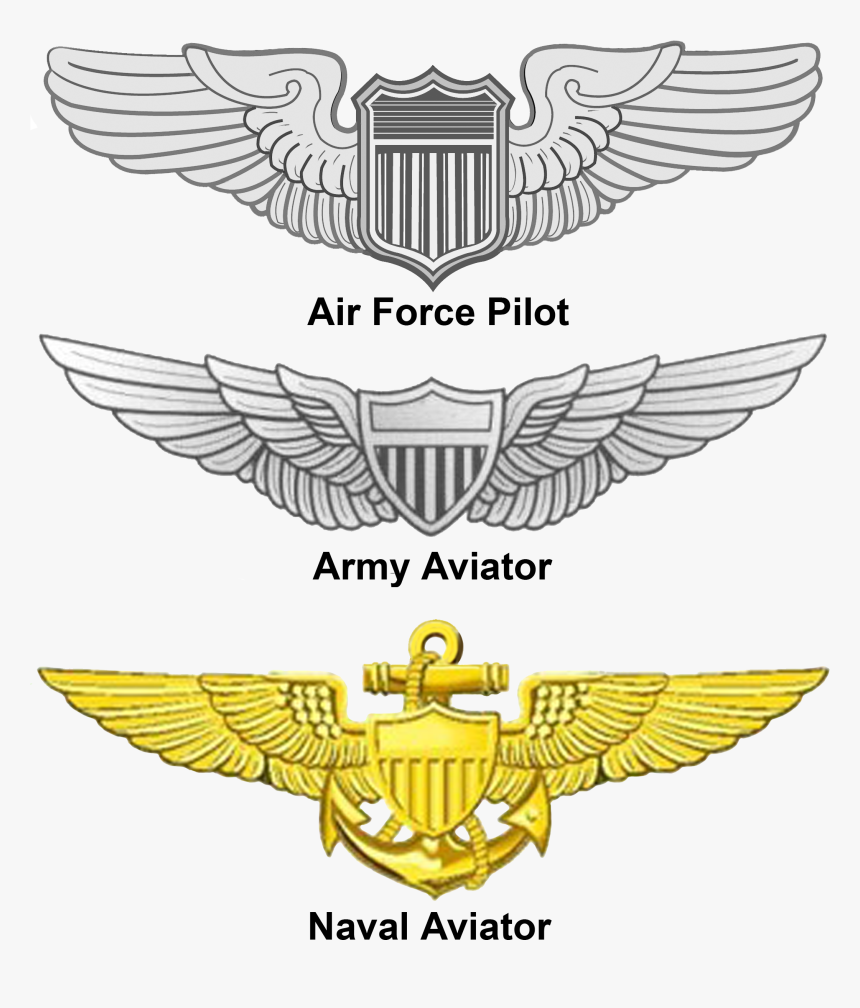 air force wings