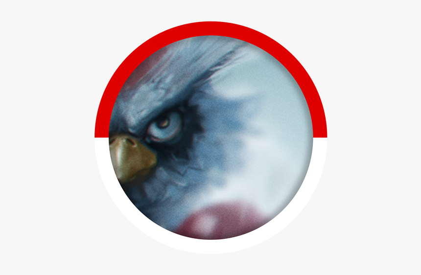 Birman, HD Png Download