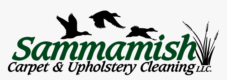 Sammamish Carpet Cleaning & Upholstery - Bird Of Prey, HD Png Download