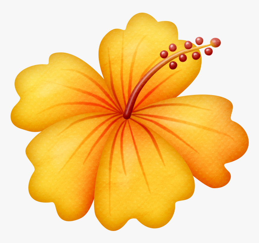 Orange Hibiscus Clipart, HD Png Download