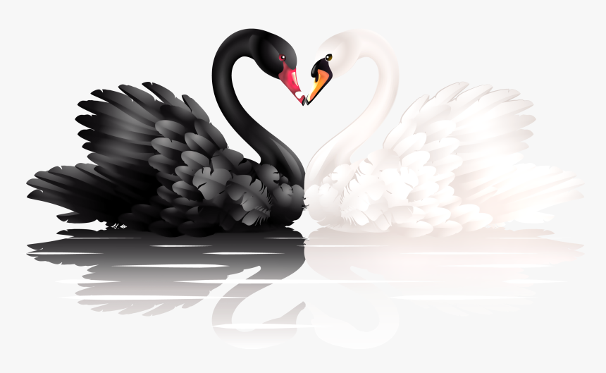 Black And White Png Of Shapes - White And Black Swan, Transparent Png