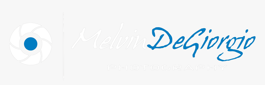 Amedia, HD Png Download