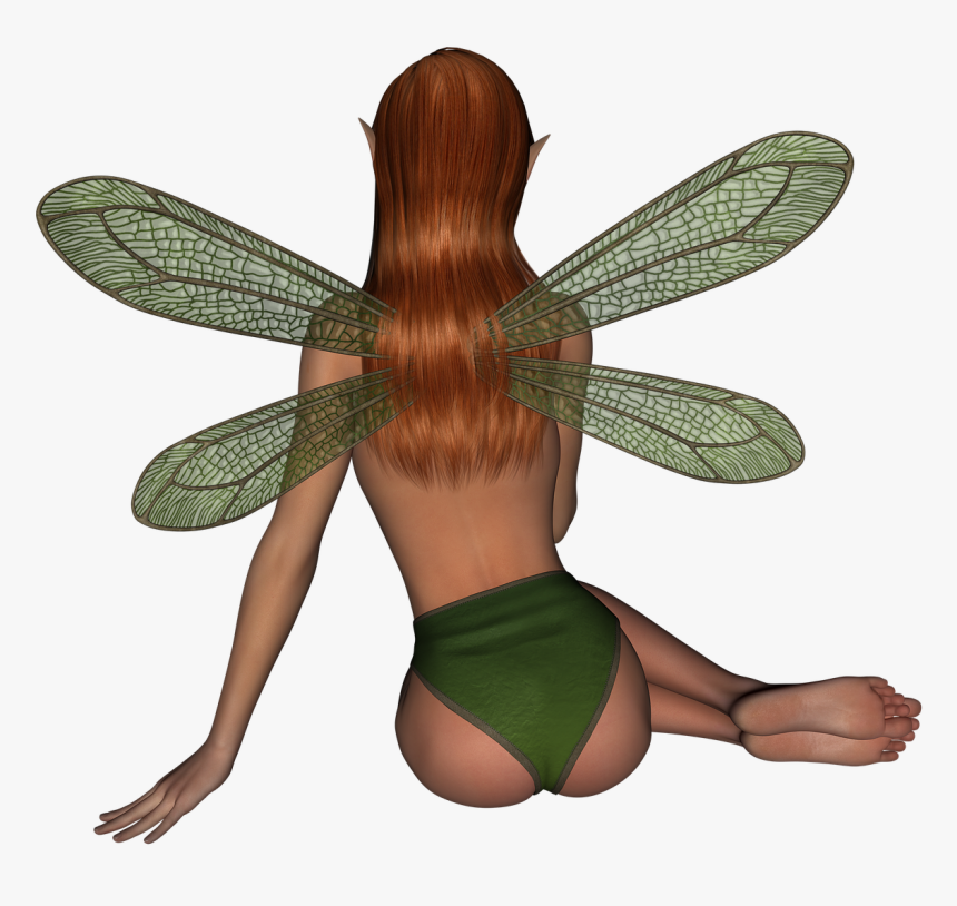 Fairy, HD Png Download