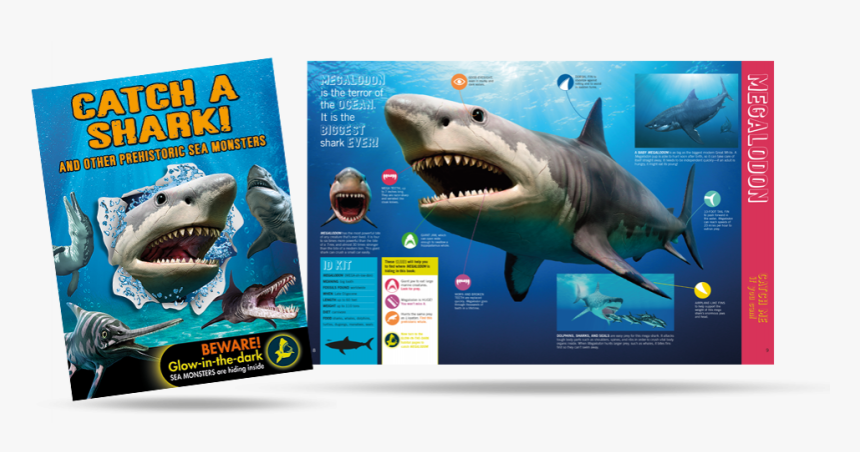 Great White Shark, HD Png Download