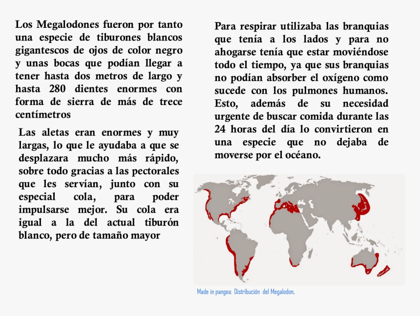 Imagen 3 - World Map, HD Png Download