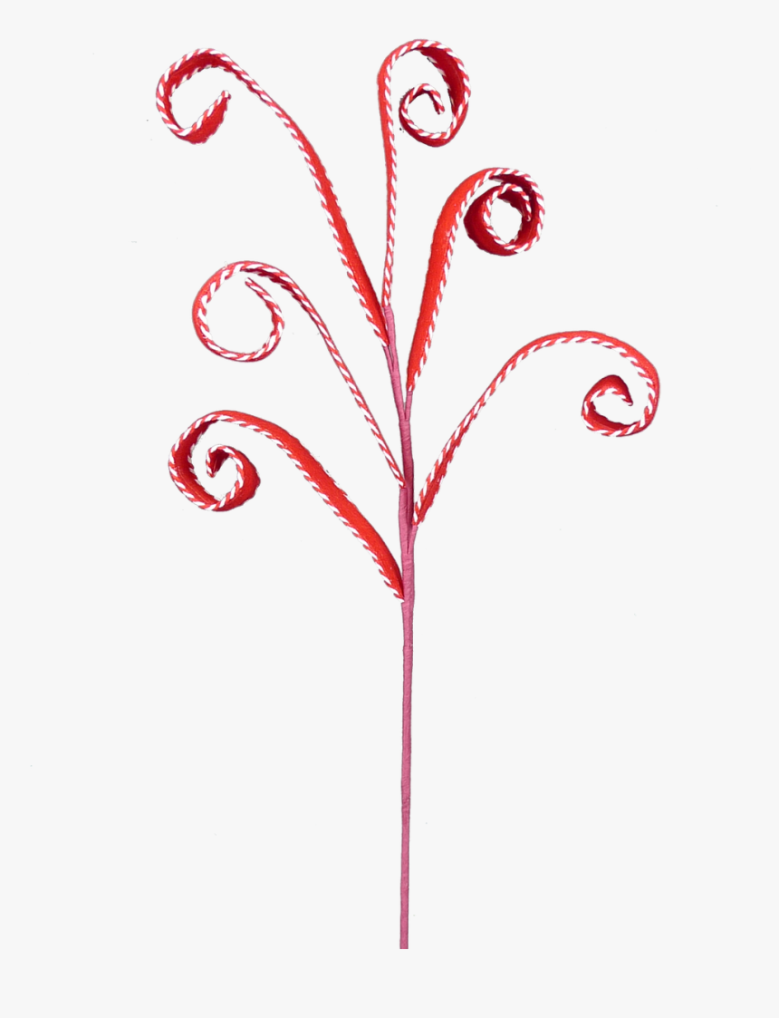 27 - Twig, HD Png Download