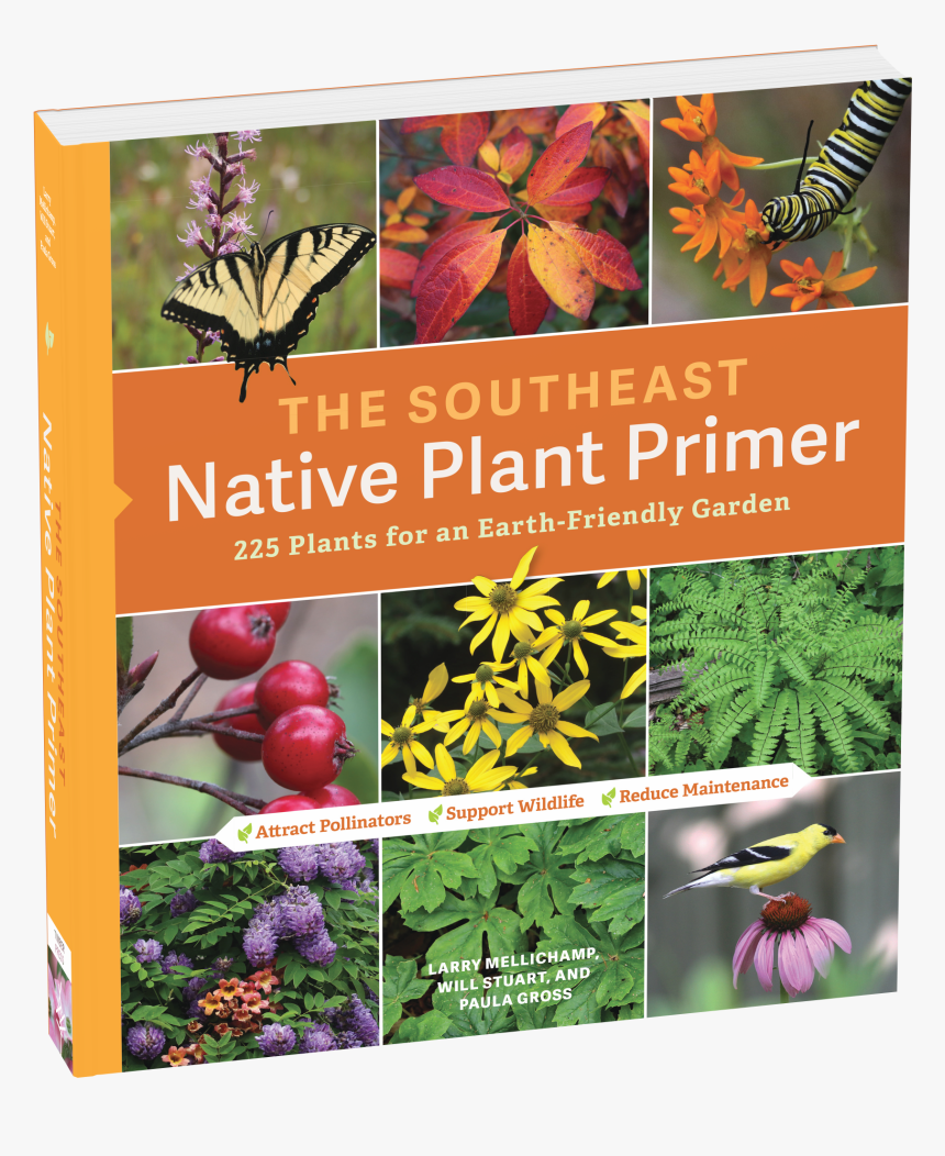 Cover - Silybum, HD Png Download