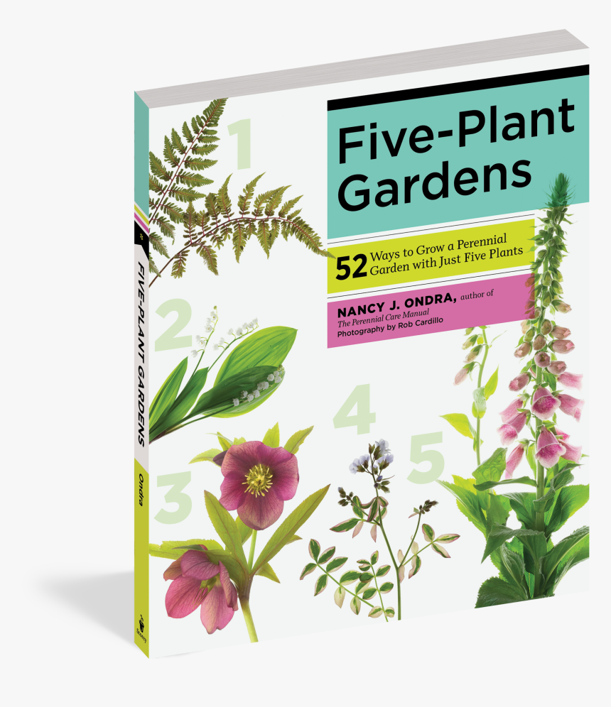 Cover - Uae Garden Plants, HD Png Download