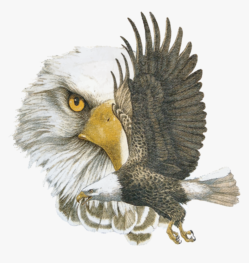 School Logo - Nance Elementary Northwest Isd, HD Png Download