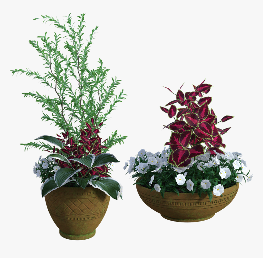 Potted, Plants, Green, Garden, Grow, Pots, Flowers - Houseplant, HD Png Download