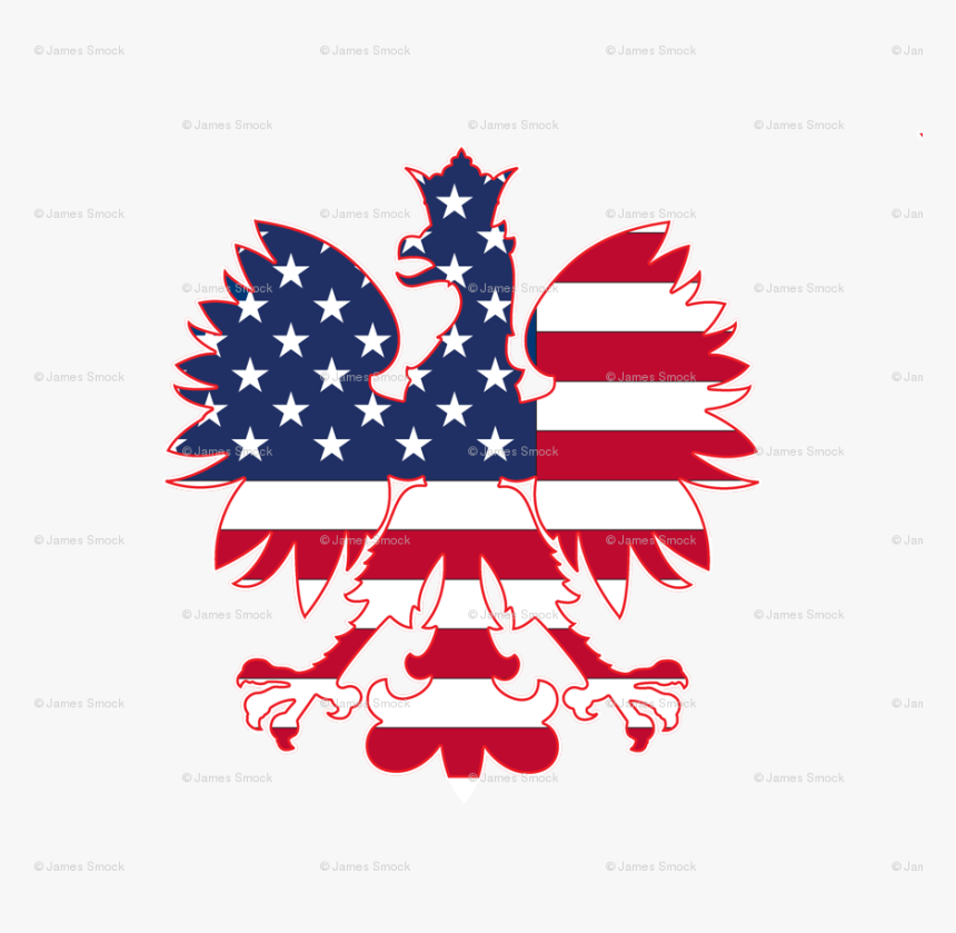 Transparent American Flag Png Image - Polish Eagle American Flag, Png Download
