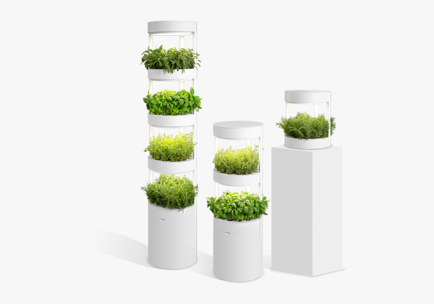 Verdeat Products In 3 Sizes - Verdeat Kickstarter, HD Png Download