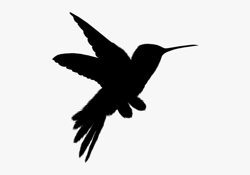 Cute Birds Png Transparent Images - Hummingbird, Png Download