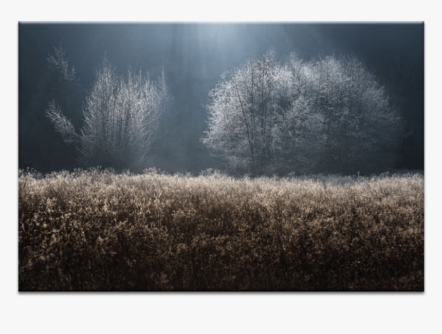 Mystical - Frost, HD Png Download