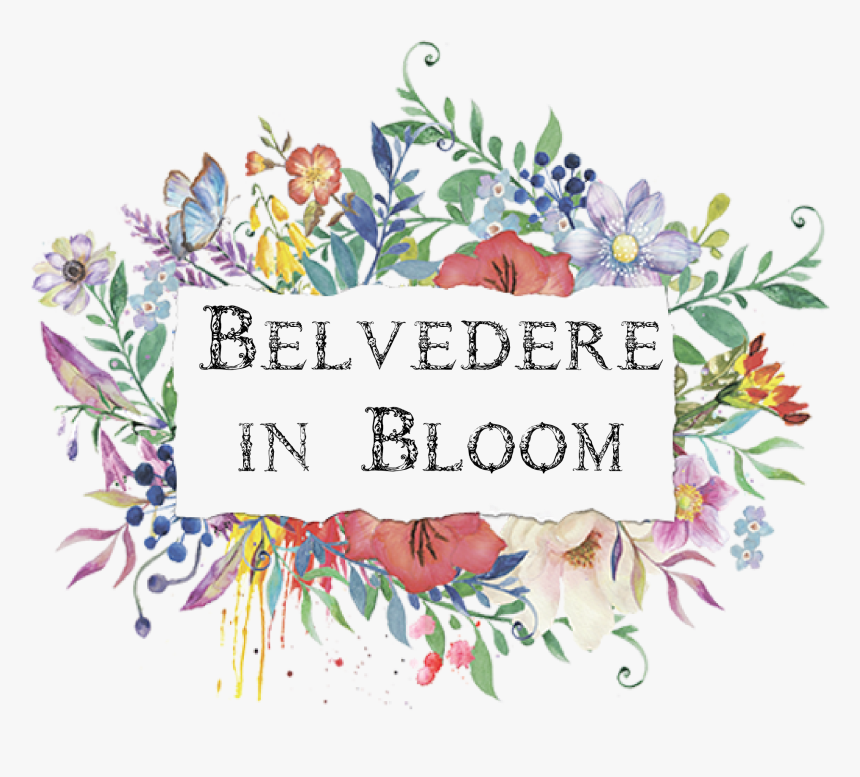 Transparent Belvedere Logo Png - Water Color Floral Frame, Png Download