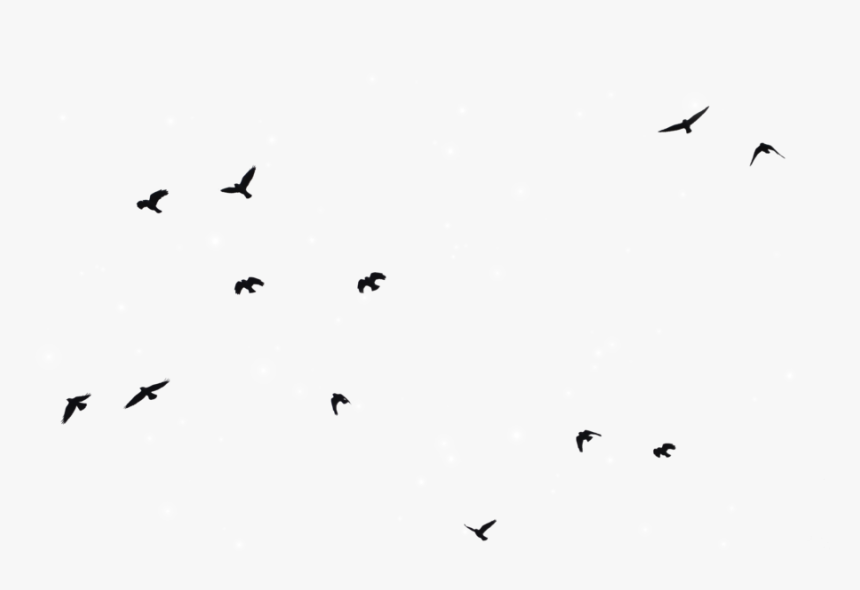 Spread Your Wings And Fly 🐦 Add This Cute Birds Sticker - Bird Silhouette Transparent Background, HD Png Download