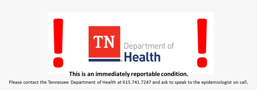 Immediately Reportable - Graphic Design, HD Png Download