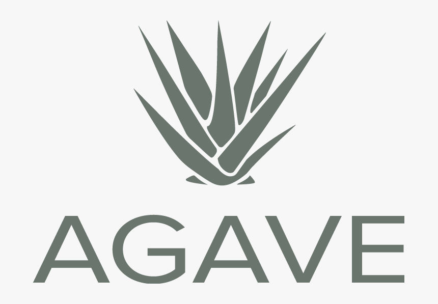 Transparent Agave Png - The James At Sugarloaf By Cortland, Png Download