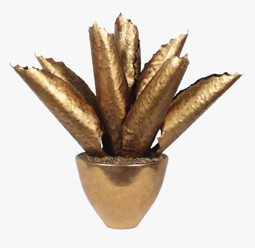 Goldagave Copy - Brass, HD Png Download