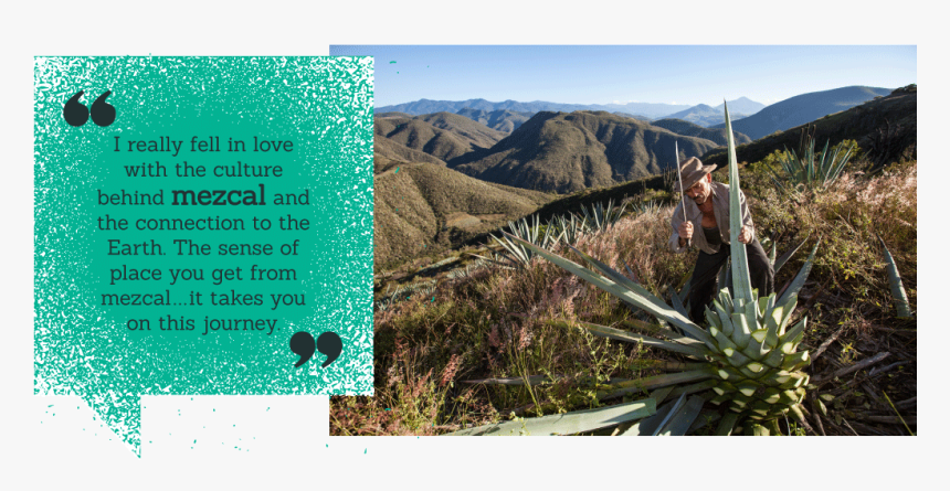 Mezcal How Is It Made, HD Png Download