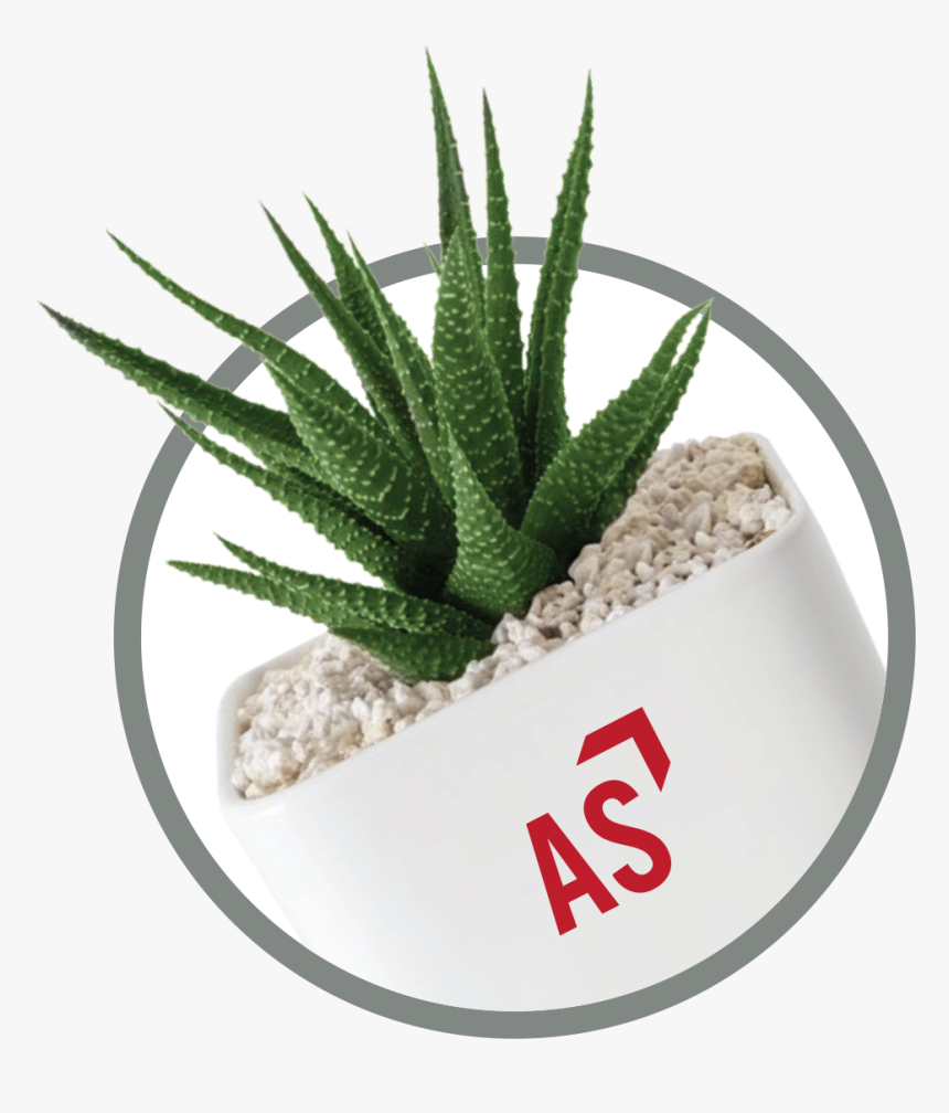 Intersemillas, HD Png Download