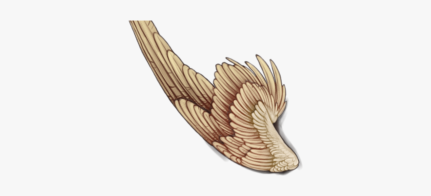 Illustration, HD Png Download