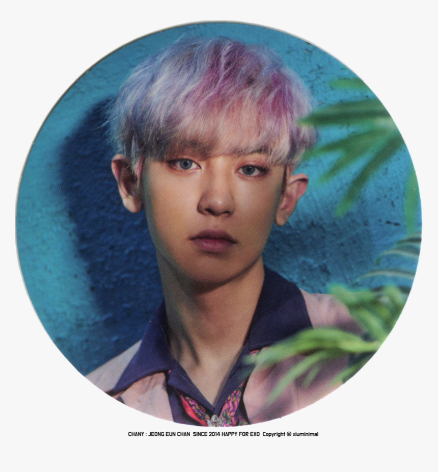 Chanyeol Png -park Chanyeol - Chanyeol Circle Png, Transparent Png