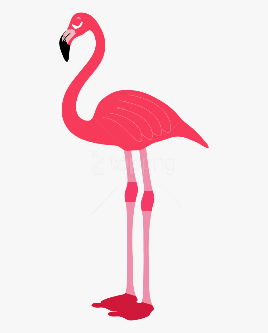 Free Png Download Flamingo Png Images Background Png - Transparent Background Flamingo Png, Png Download