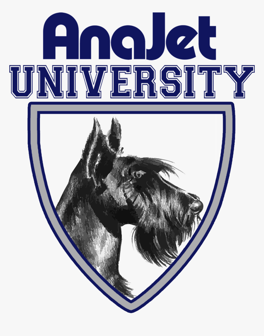 Poster, HD Png Download