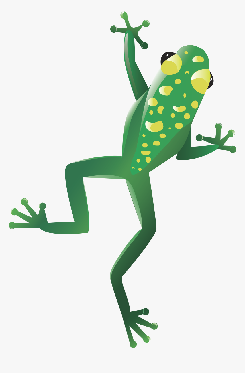 Frog Png - Transparent Background Frog Clipart, Png Download