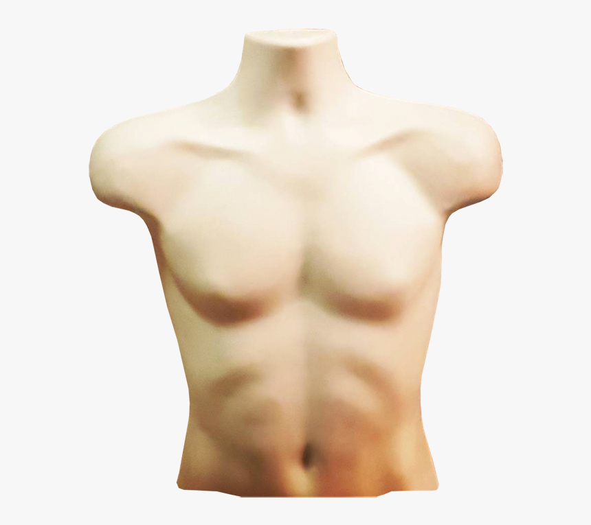 Transparent Torso Png - Pound Of Flesh Torso, Png Download