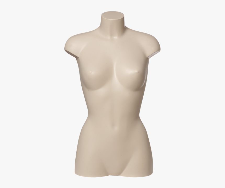 Plastic Torsos Code 120κ Ε 
 Title Plastic Torsos Code - Mannequin, HD Png Download
