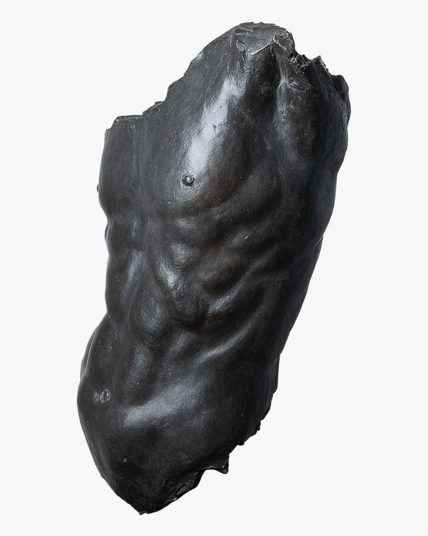 3d Torso Sideleft - Sculpture, HD Png Download