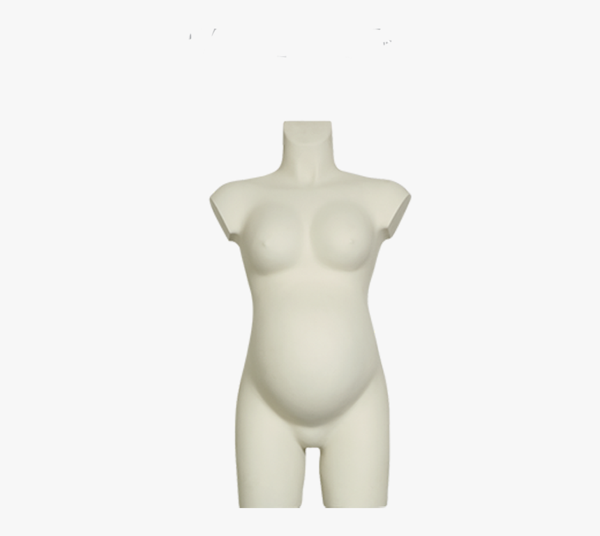 Plastic Torsos Code 120 Pregnant 
 Title Plastic Torsos - Mannequin, HD Png Download