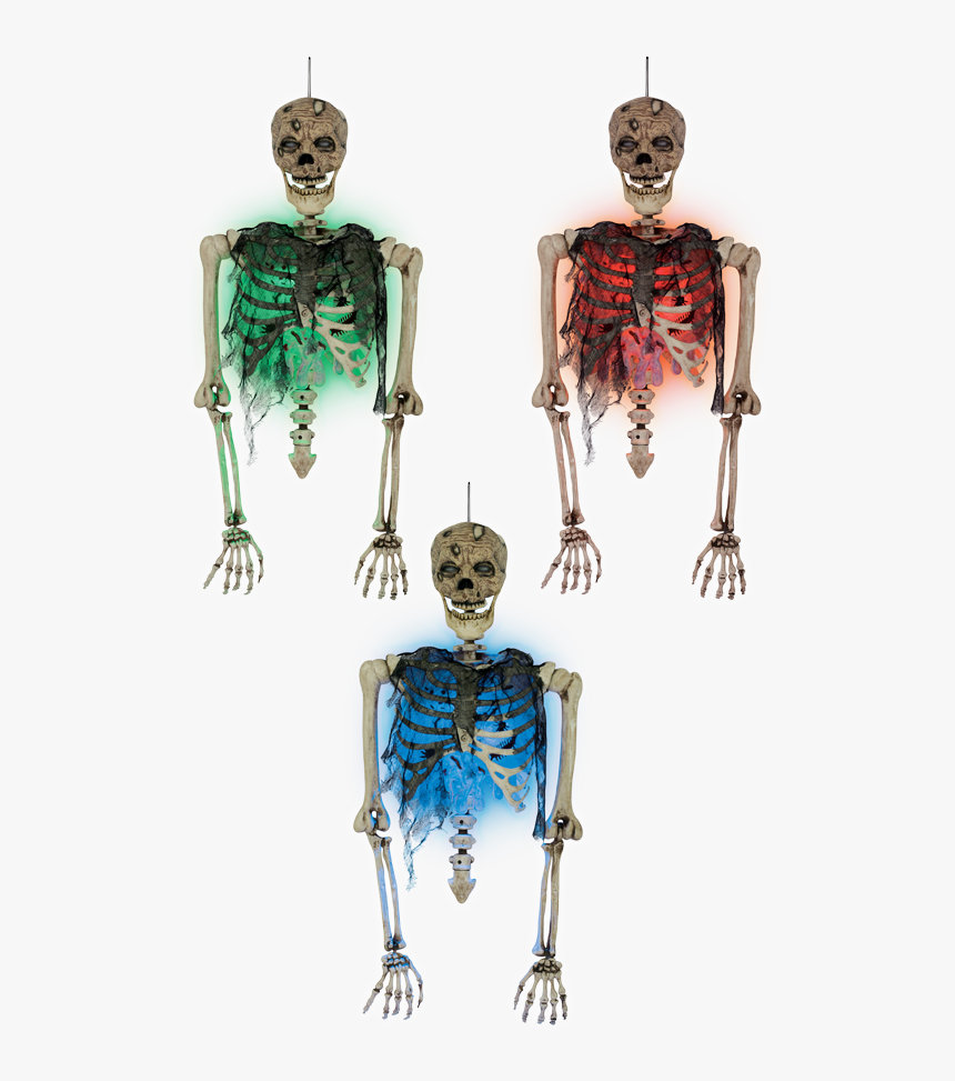 Zombie Torso With Blister Chest - Illustration, HD Png Download