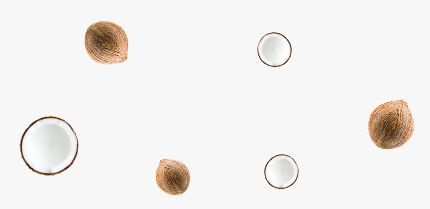 Circle, HD Png Download