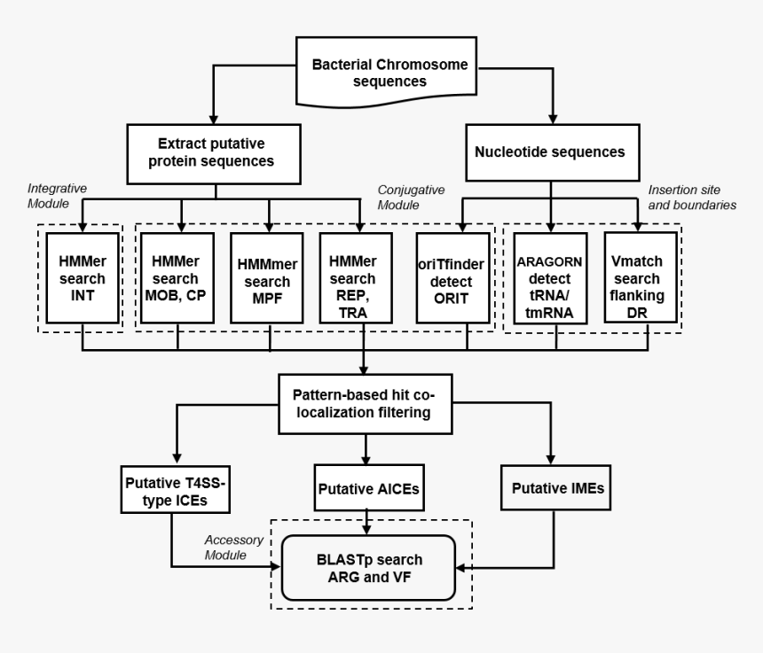 Diagram, HD Png Download