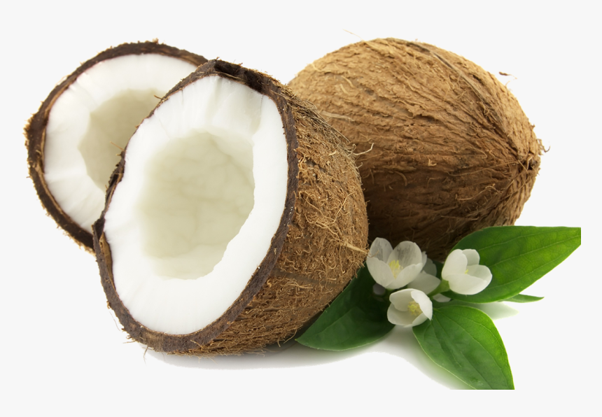 Coconut Png Png Image - Coconut Png, Transparent Png