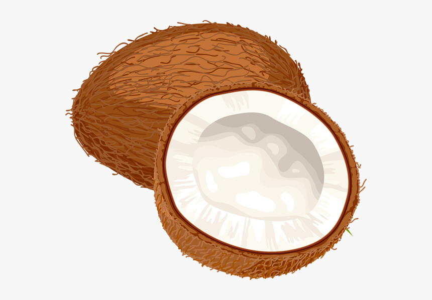 Coconuts Png Image - Transparent Background Coconut Clipart, Png Download