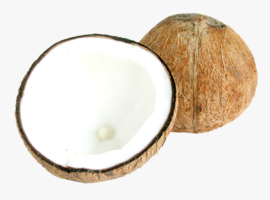 Half Coconut Png, Transparent Png