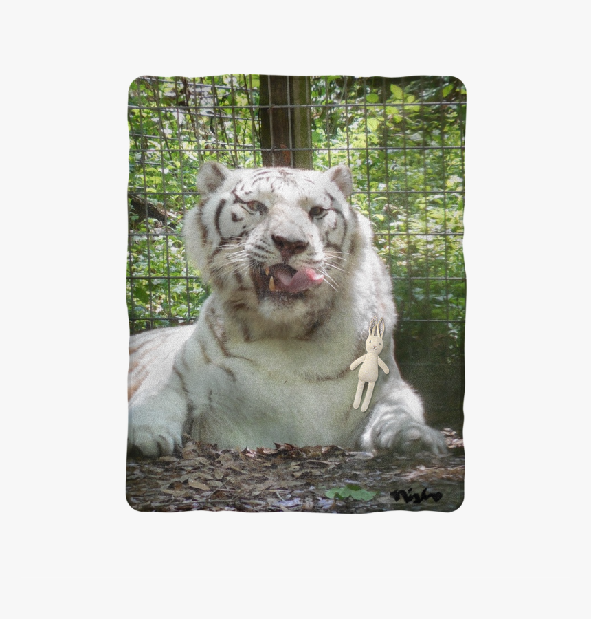 Snow Leopard, HD Png Download