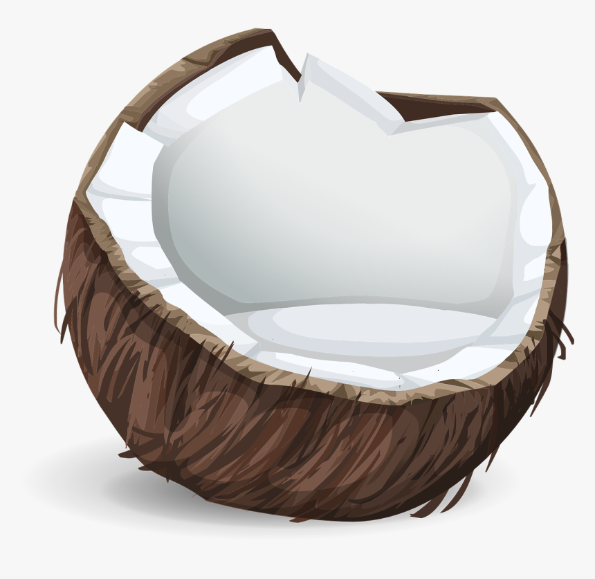 Coconut Sticker, HD Png Download
