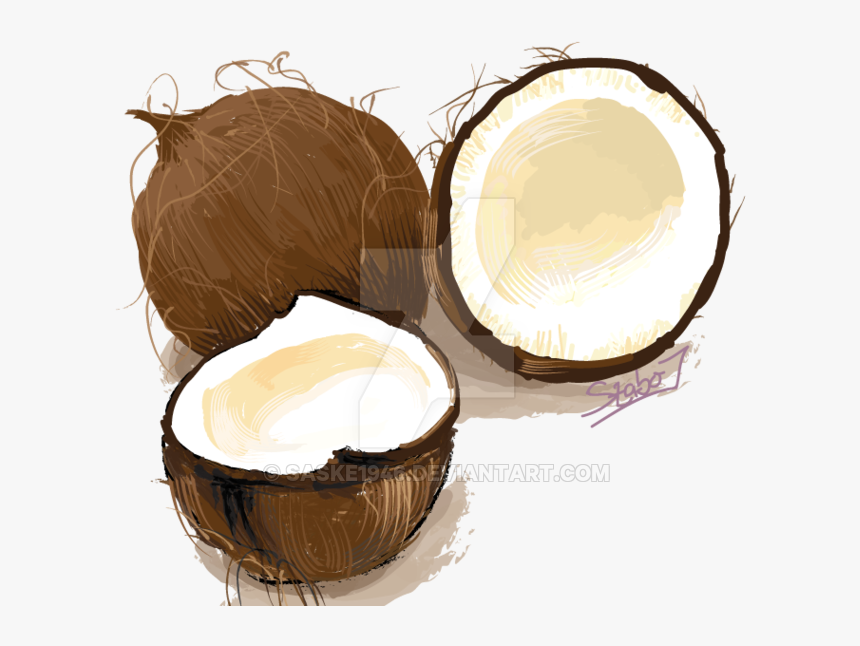 Coconuts Vector Illustration - Cake, HD Png Download