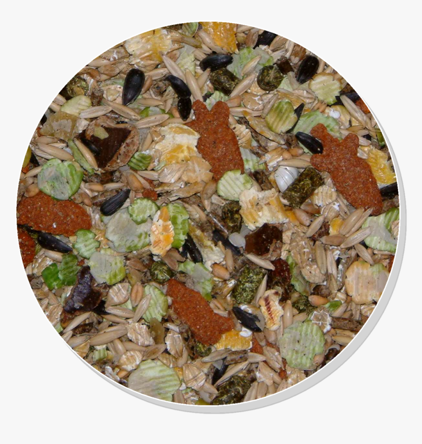 Autumn, HD Png Download