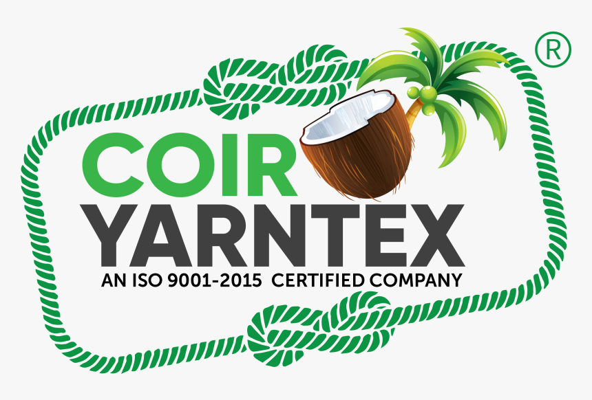 Coconut , Transparent Cartoons - Coconut, HD Png Download